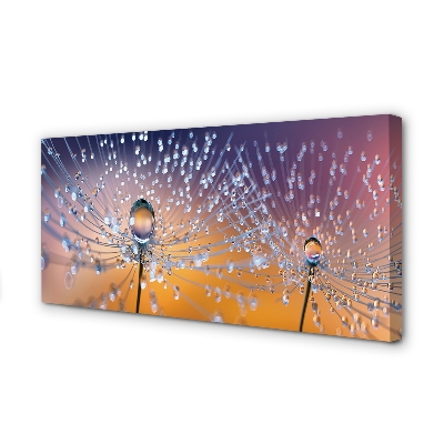 Quadro em tela Macro de gotas de dente-de-leão