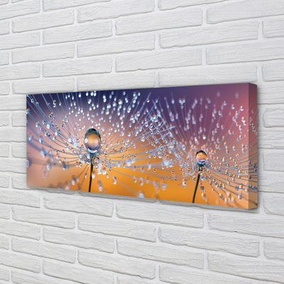 Quadro em tela Macro de gotas de dente-de-leão