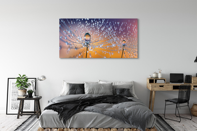 Quadro em tela Macro de gotas de dente-de-leão