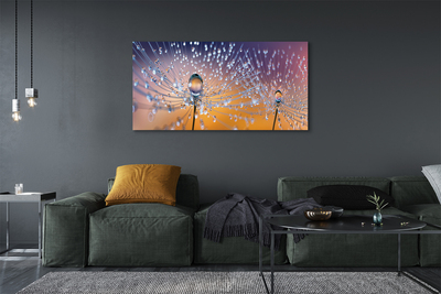 Quadro em tela Macro de gotas de dente-de-leão