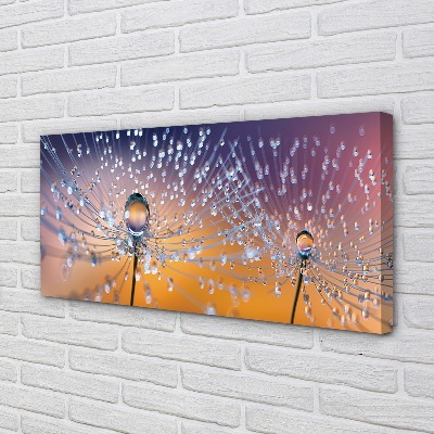 Quadro em tela Macro de gotas de dente-de-leão