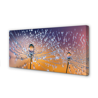 Quadro em tela Macro de gotas de dente-de-leão