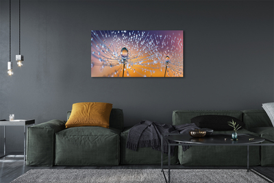 Quadro em tela Macro de gotas de dente-de-leão