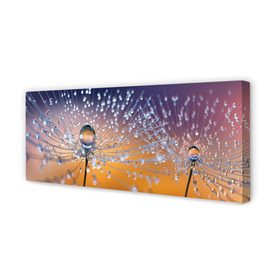 Quadro em tela Macro de gotas de dente-de-leão