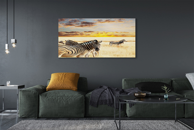 Quadro em tela Pôr do sol no campo de zebras