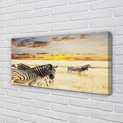 Quadro em tela Pôr do sol no campo de zebras