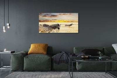 Quadro em tela Pôr do sol no campo de zebras