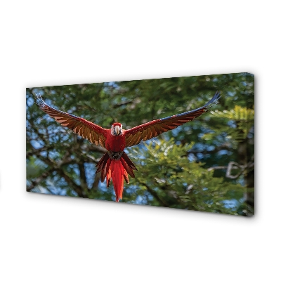 Quadro em tela papagaio arara