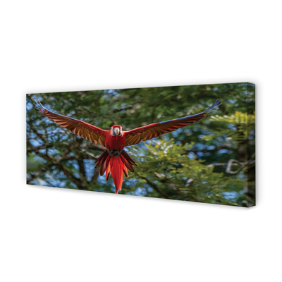 Quadro em tela papagaio arara