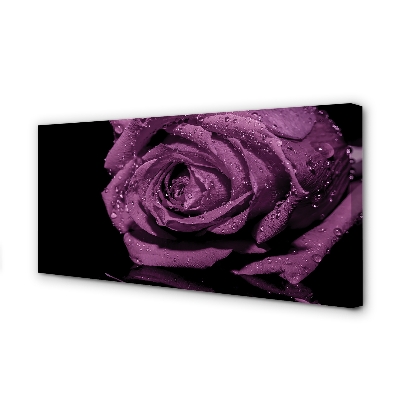 Quadro em tela Rosa roxa