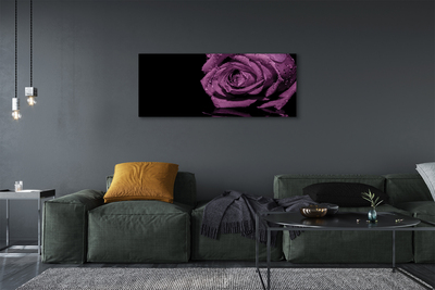 Quadro em tela Rosa roxa