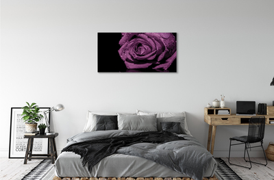 Quadro em tela Rosa roxa
