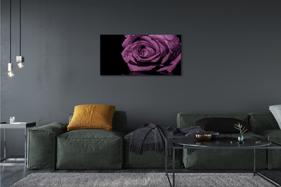 Quadro em tela Rosa roxa