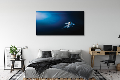 Quadro em tela Astronauta espacial
