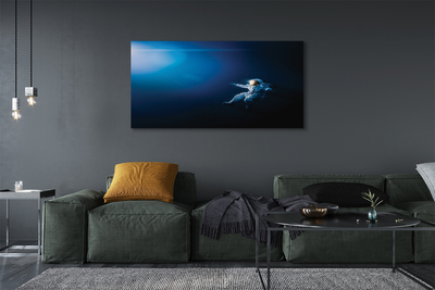 Quadro em tela Astronauta espacial