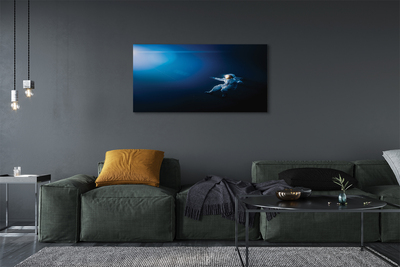 Quadro em tela Astronauta espacial