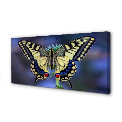 Pintura em tela Borboleta em uma flor