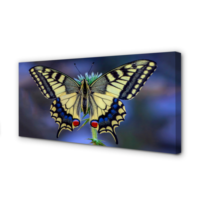 Pintura em tela Borboleta em uma flor