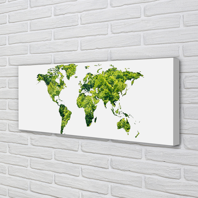 Quadro em tela Mapa de grama verde