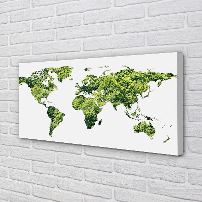 Quadro em tela Mapa de grama verde