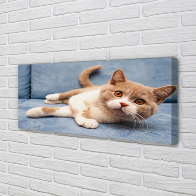 Pintura em tela Gato deitado