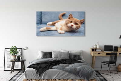 Pintura em tela Gato deitado