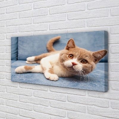 Pintura em tela Gato deitado