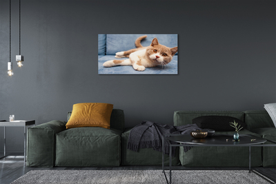 Pintura em tela Gato deitado