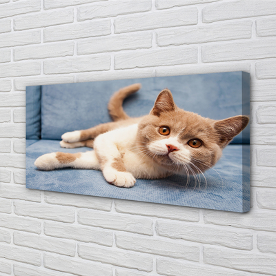 Pintura em tela Gato deitado