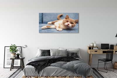 Pintura em tela Gato deitado