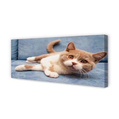 Pintura em tela Gato deitado