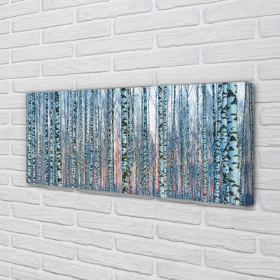 Quadro em tela Pôr do sol na floresta de bétulas