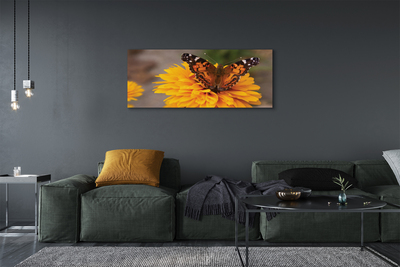 Quadro em tela Flor borboleta colorida