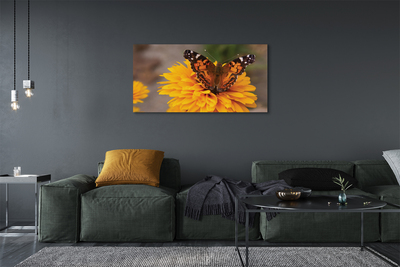 Quadro em tela Flor borboleta colorida