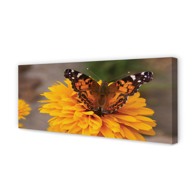 Quadro em tela Flor borboleta colorida