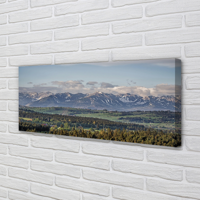 Pintura em tela Montanhas