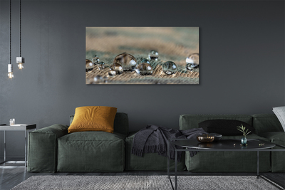 Quadro em tela Deixa cair material macro