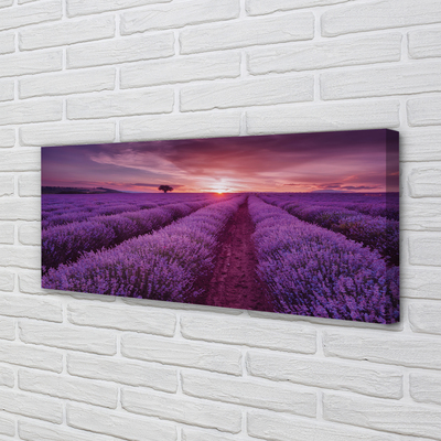 Quadro em tela Campo de urze