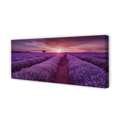 Quadro em tela Campo de urze