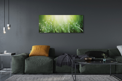 Pintura em tela Gotas, grama, sol