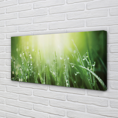 Pintura em tela Gotas, grama, sol