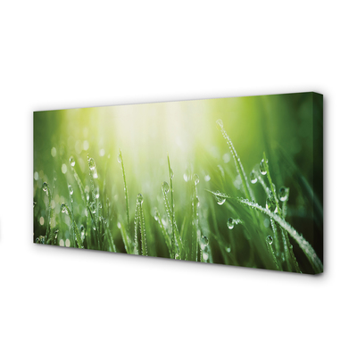 Pintura em tela Gotas, grama, sol