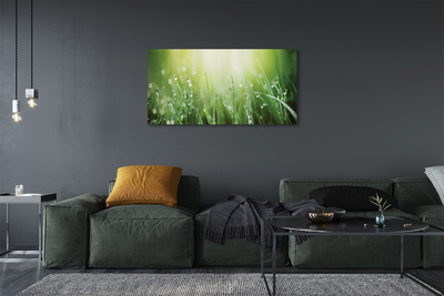 Pintura em tela Gotas, grama, sol