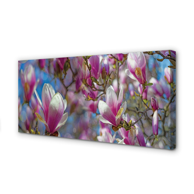 Quadro em tela Árvores de magnólia