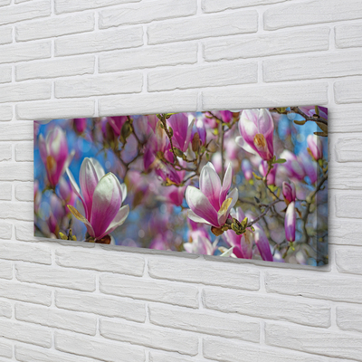 Quadro em tela Árvores de magnólia