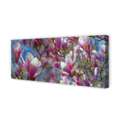 Quadro em tela Árvores de magnólia