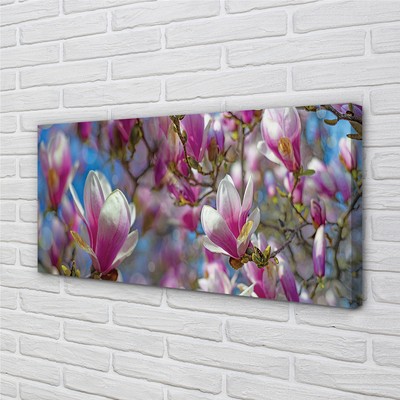 Quadro em tela Árvores de magnólia