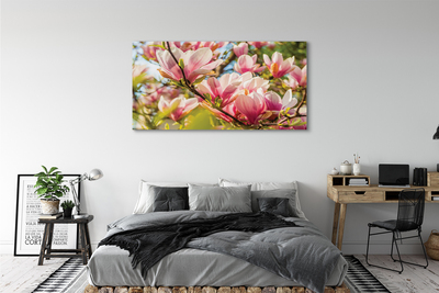 Quadro em tela magnólia rosa