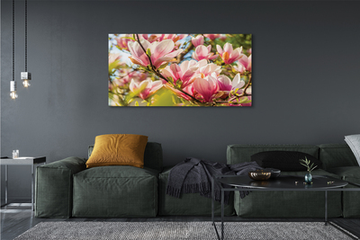 Quadro em tela magnólia rosa