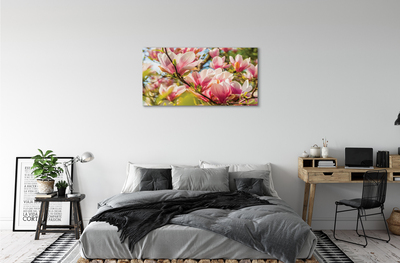 Quadro em tela magnólia rosa
